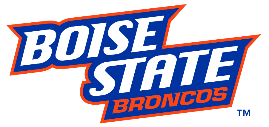 Boise State Broncos 2012-2013 Wordmark Logo v3 diy DTF decal sticker